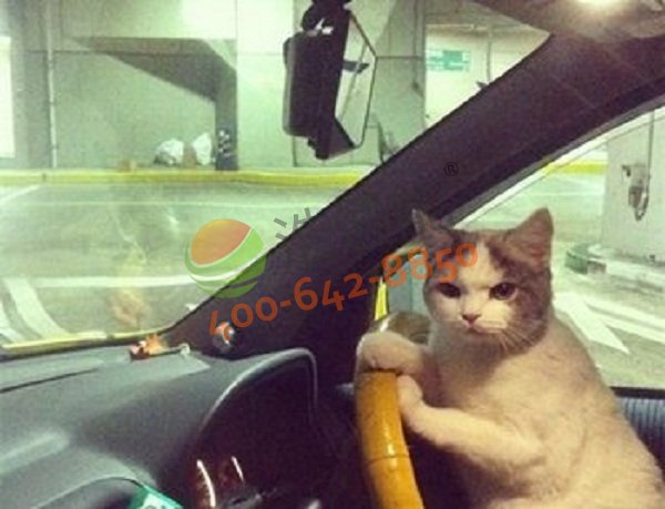 ��˾�C(j��)